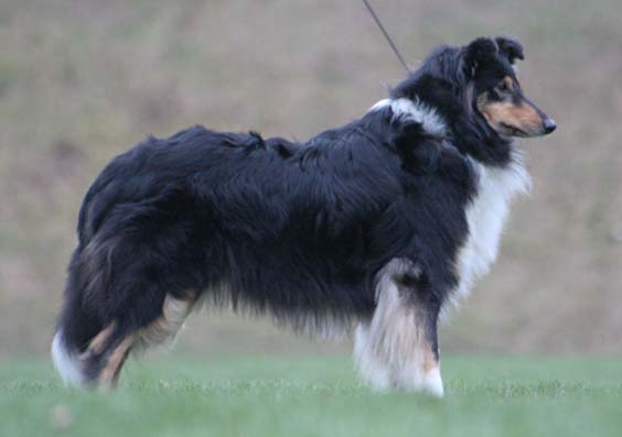 Rickmix Last Spicy Female, "Diva"